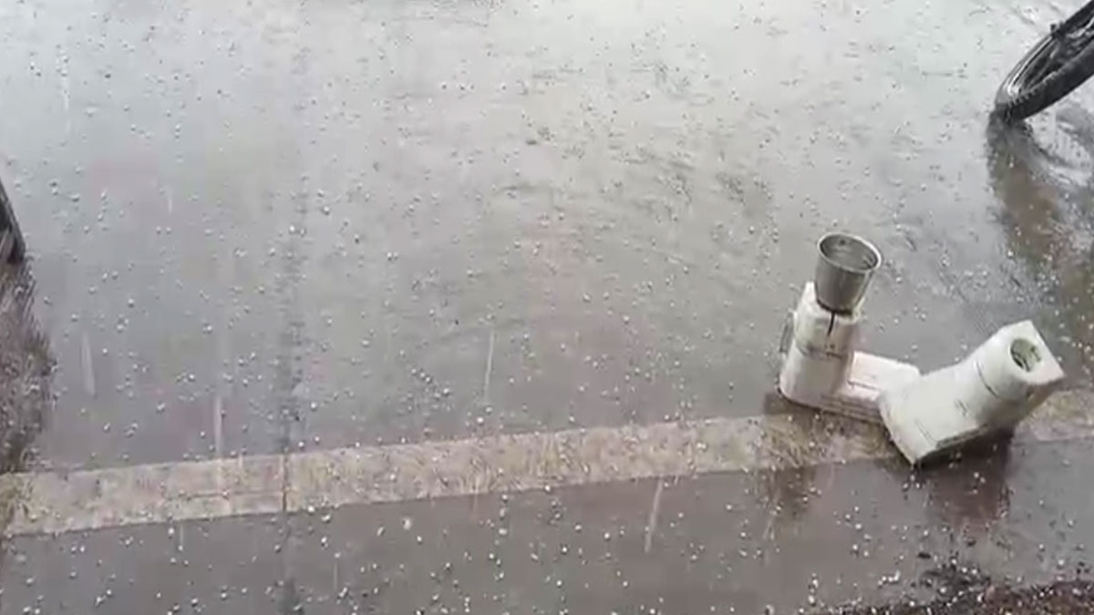 Buldhana: कई हिस्सों में बेमौसम बारिश, तेज हवाओं के साथ कई जगह गिरे ओले, आम, केला, अंगूर के बागों को नुकसान