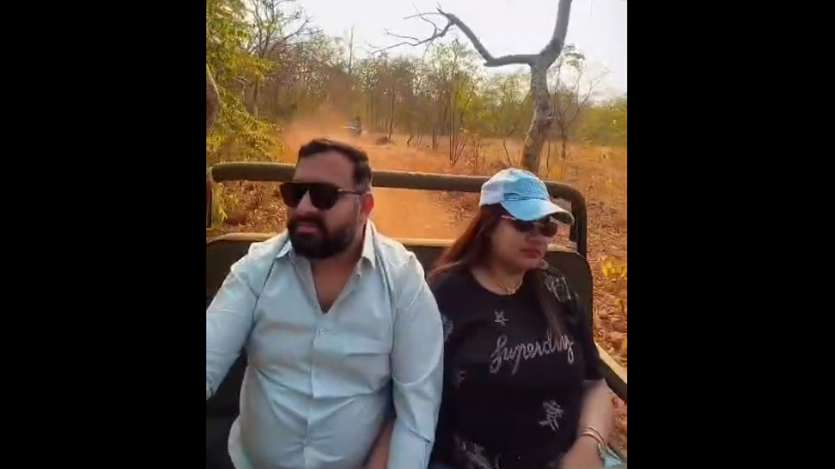 Chandrapur: ताडोबा में नियम तोड़ने पर विधायक करण देवतले पर कार्रवाई, मोबाइल इस्तेमाल करना बना विवाद