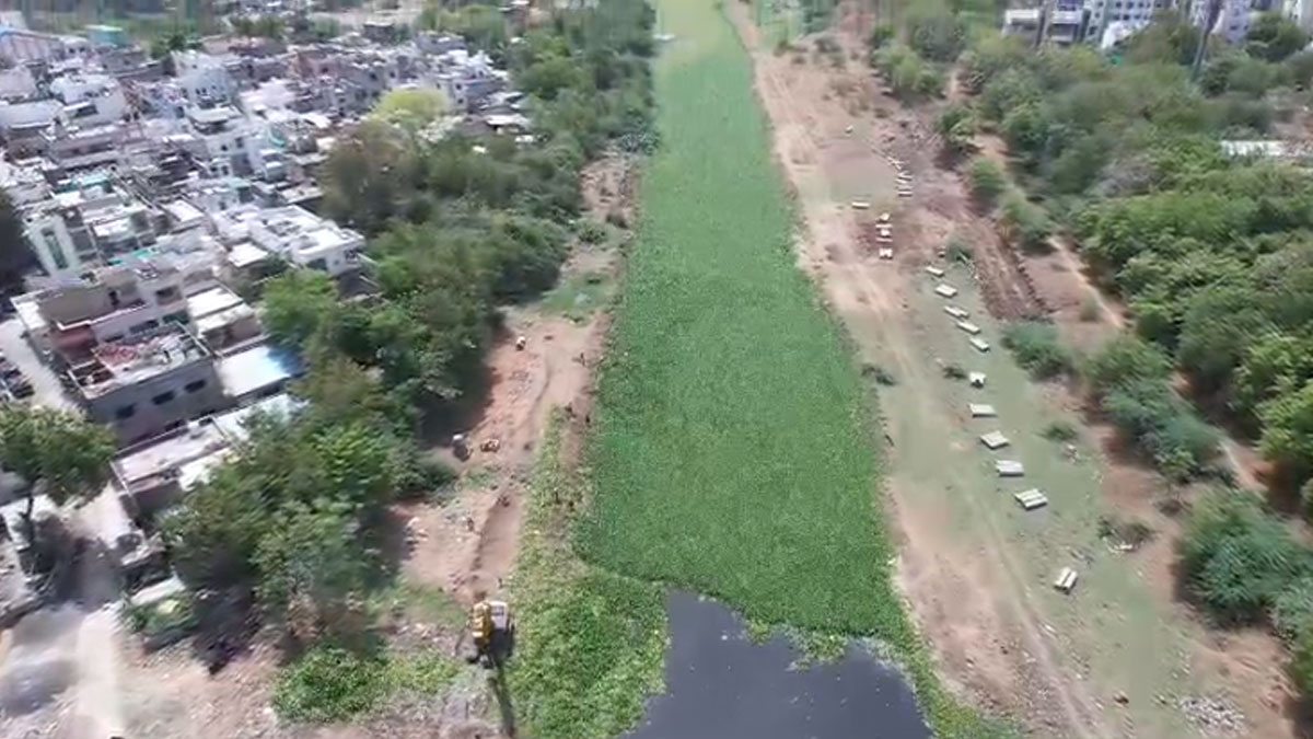 Akola: मोरणा नदी सफाई अभियान के दूसरे दिन उमड़ा जनसैलाब; 10 सामाजिक संगठनों ने मिलाया हाथ