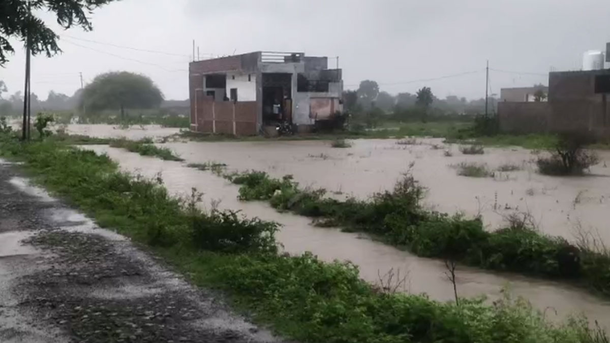 जुलाई में विदर्भ में जमकर बरसे बादल, सामन्य से 21% अधिक बारिश; गोंदिया में सबसे ज्यादा 56 प्रतिशत बारिश दर्ज