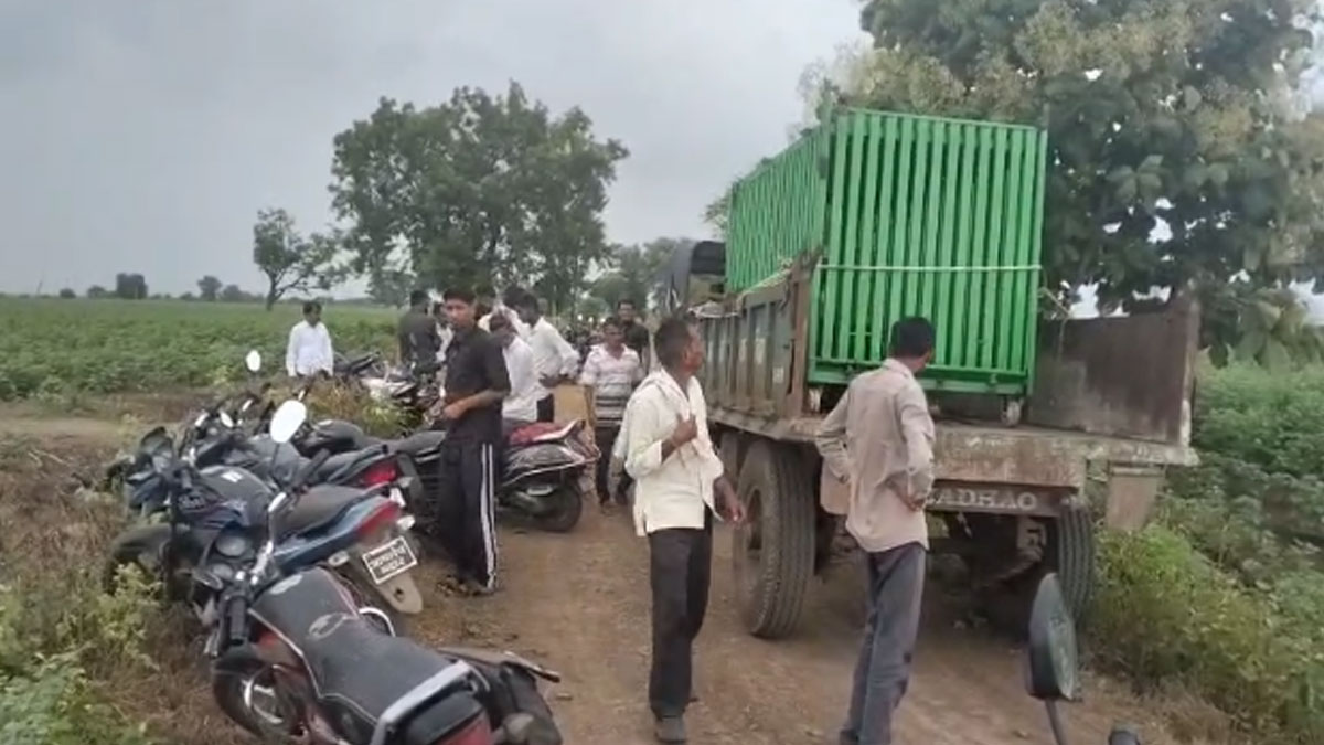 Amravati: रिद्धपूर-आष्टोली में बाघिन की दहशत कायम... सड़क पर दिखा बाघ, खेत में गाय का किया शिकार