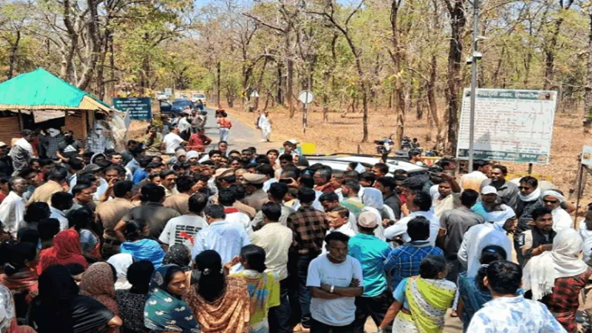 Bhandara: नरभक्षी बाघिन का आतंक, एक की मौत, महिला गंभीर; गुस्साए ग्रामीणों ने किया सड़क जाम