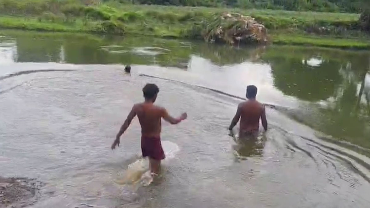 Buldhana: ﻿तैरने का लालच साबित हुआ जानलेवा; दो अलग-अलग घटनाओं में चार युवक डूबे