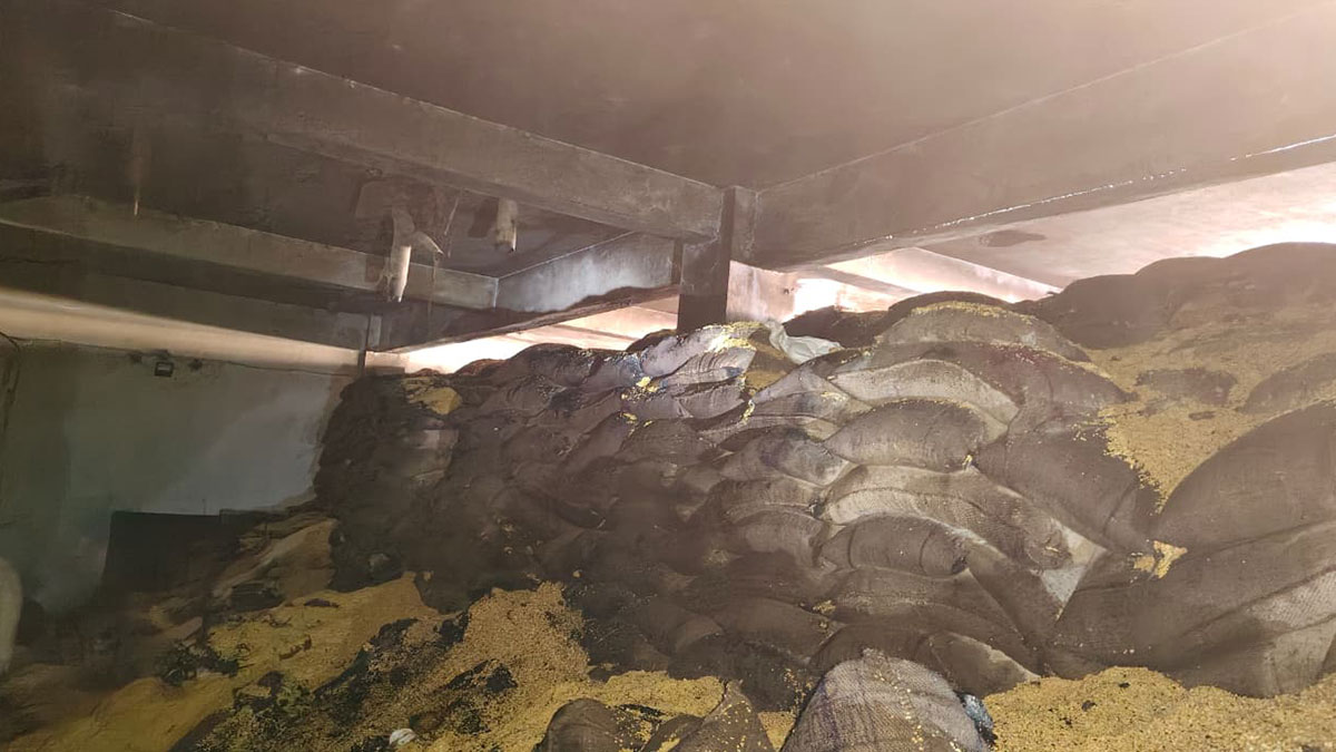 Nagpur: भंडारा रोड स्थित सुदर्शन दाल इंडस्ट्री में भीषण आग; कोई जनहानि नहीं, 6 करोड़ का नुकसान