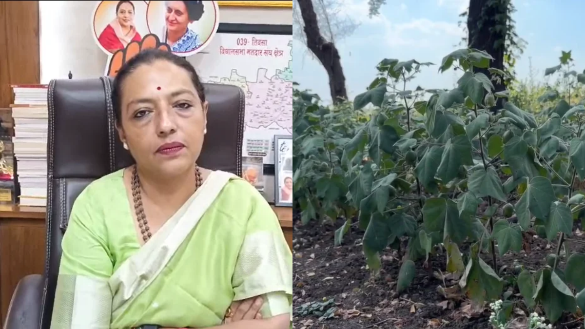 Amravati: अमरावती में 40 दिनों में 36 किसानों की आत्महत्या! ₹5 हजार की मदद को यशोमति ठाकुर ने बताया ‘भीख’