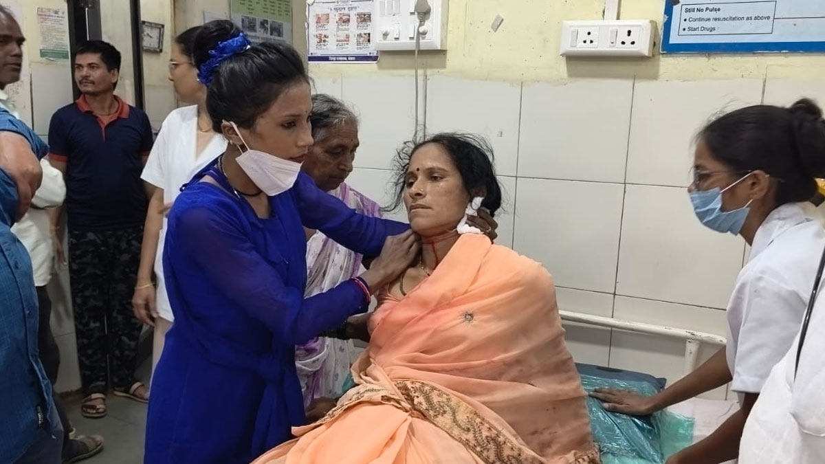 Bhandara: खेत में काम कर रही महिला पर बाघ का जानलेवा हमला; 15 दिनों में तीसरी घटना से इलाके में दहशत