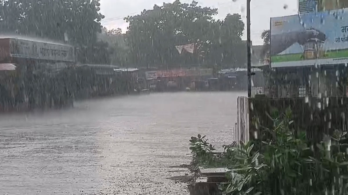 Bhandara: सुबह से जिले में जोरदार बारिश, घोसी खुर्द डैम के 13 गेट 0.5 मीटर खुले