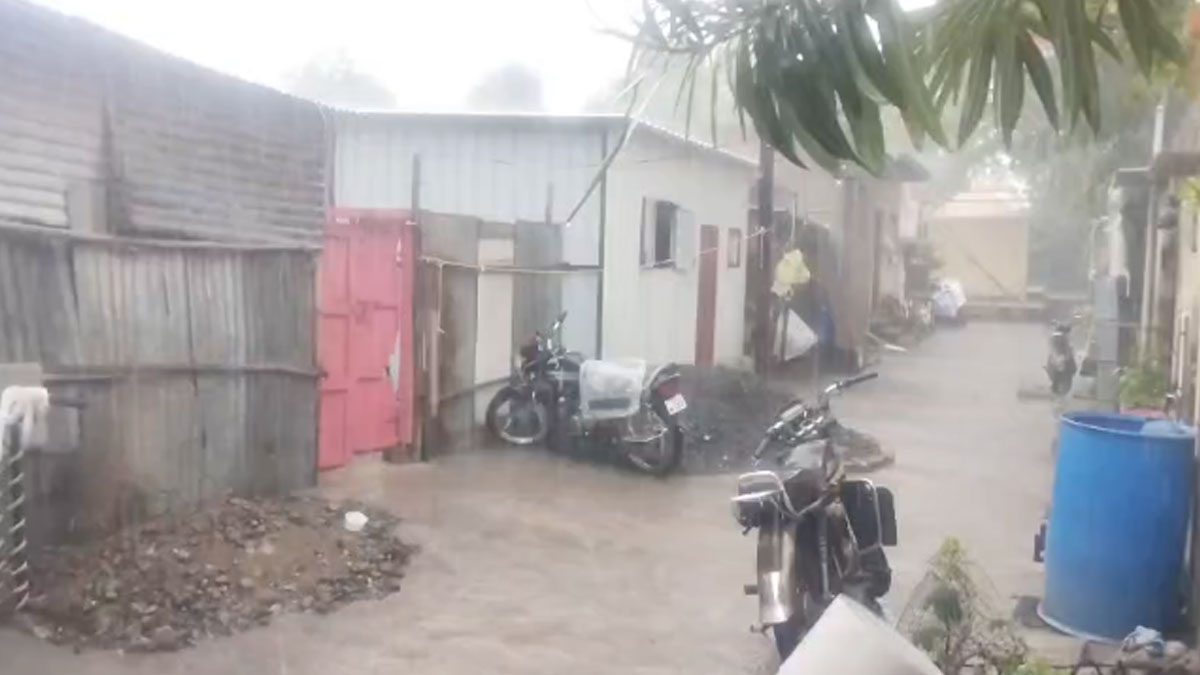Buldhana: 45 दिन बाद बुलढाणा में बारिश की वापसी, किसानों की उम्मीदें जगीं