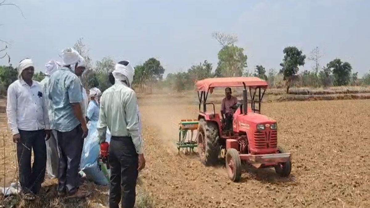 Bhandara: एल नीनो के खतरे के बीच भंडारा के किसानों का बड़ा फैसला; मानसून में देरी से निपटने के लिए बदली पीक पद्धति, 'DSR' और 'SRT' तकनीक का सहारा
