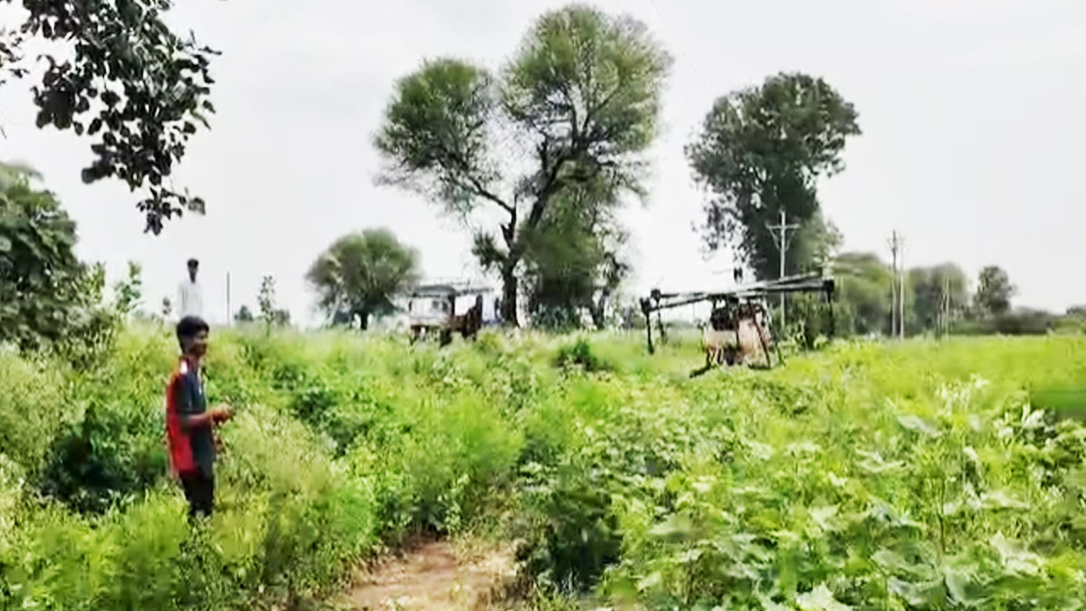 Amravati: ﻿ड्रोन के माध्यम से कृषि छिड़काव में क्रांति; समय, धन और श्रम की भारी बचत