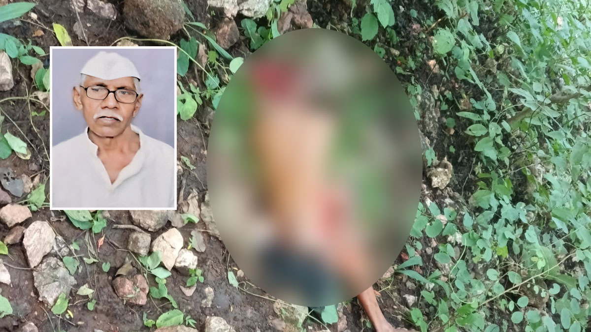 Gondia: सड़क-अर्जुनी में बाघ के हमले से 72 वर्षीय बुजुर्ग किसान की मौत, ग्रामीणों में दहशत का माहौल