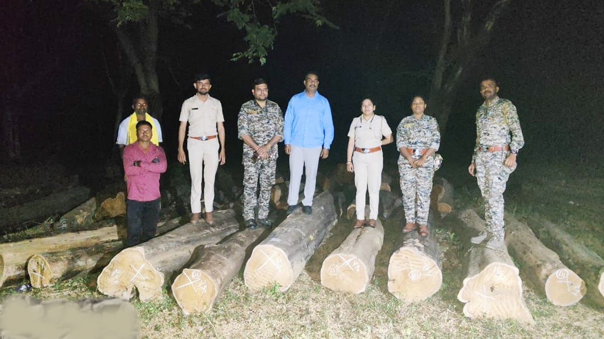 Bhandara: लाखनी वन विभाग की बड़ी कार्रवाई, अवैध लकड़ी परिवहन पकड़ा, करीब 20 लाख रुपये का माल जब्त