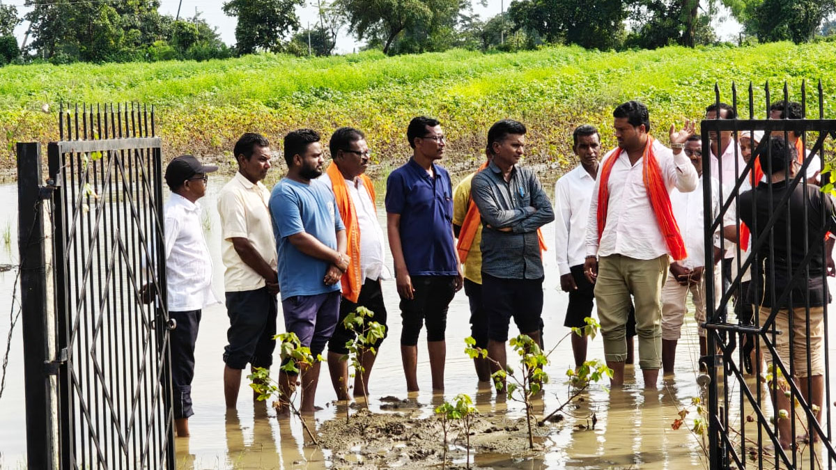 Yavatmal: ﻿मारेगांव तहसील में भारी बारिश और ओलावृष्टि से खरीफ फसलों को नुकसान, शिवसेना कार्यकर्ताओं ने खेतों में जाकर लिया जायजा