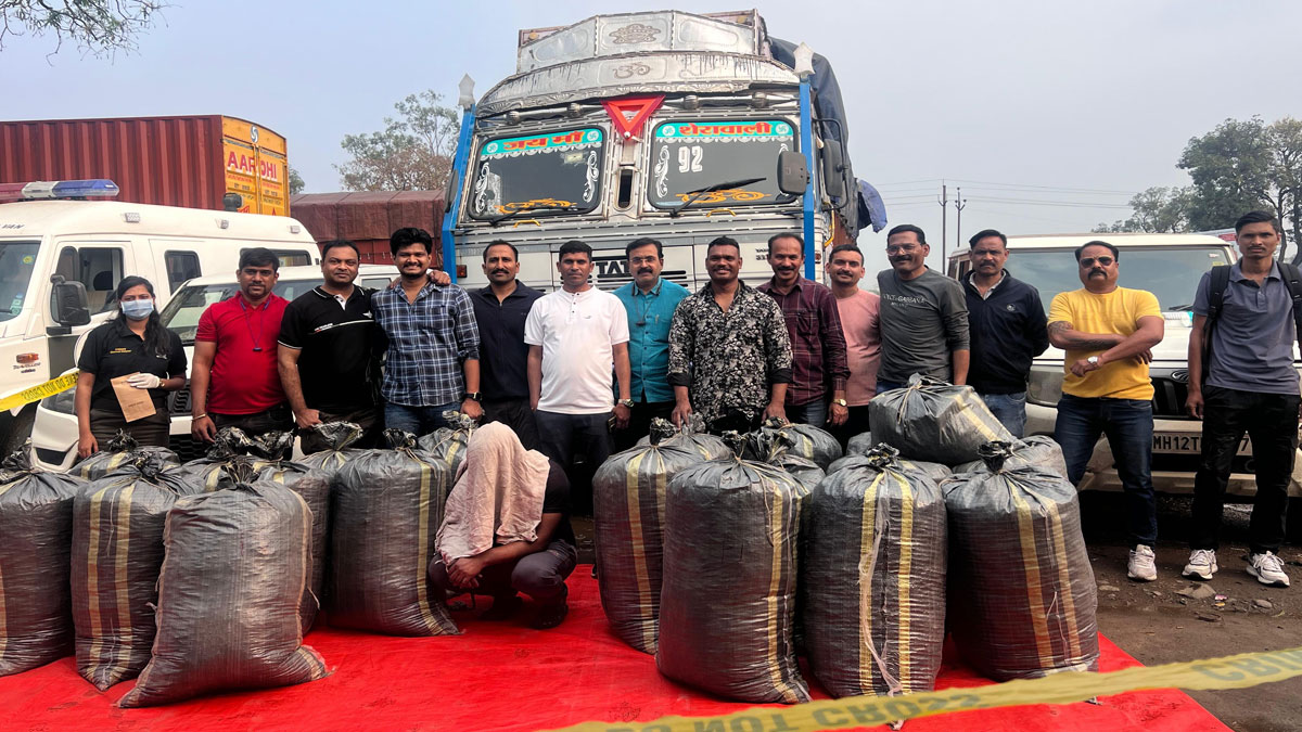 नागपुर में एंटी नारकोटिक्स टास्क फोर्स की बड़ी कार्रवाई; 505 किलो गांजा जब्त, ड्रग तस्करी के बड़े नेटवर्क का भंडाफोड़