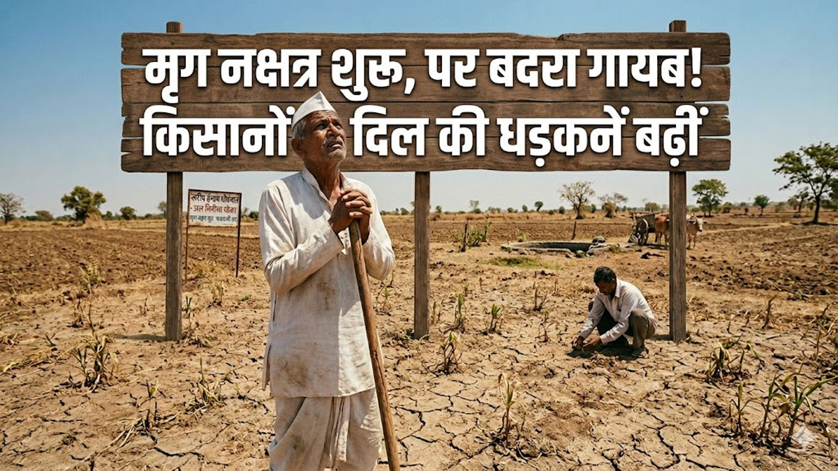 विदर्भ में खरीफ सीजन पर संकट: मृग नक्षत्र शुरू पर बदरा गायब; 'अल नीनो' के खौफ से किसानों की बढ़ीं धड़कनें