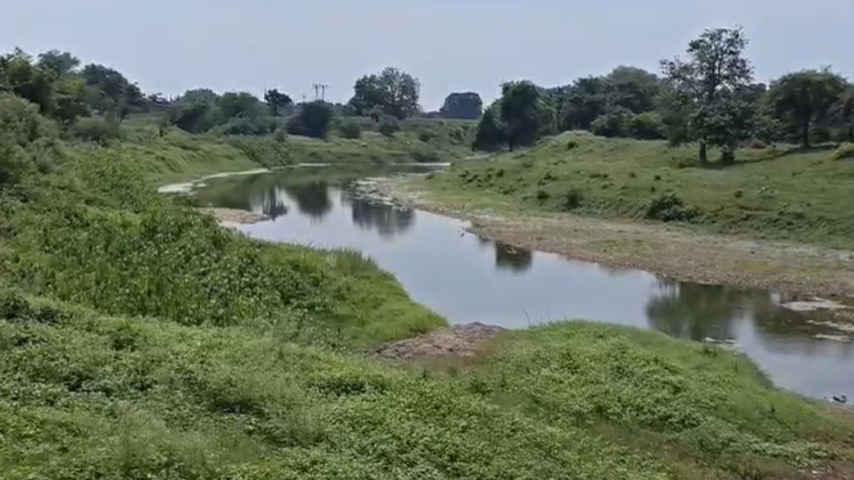 Akola: ﻿वाडेगांव के कोल्हापुरी बंधारे के गेट खुले, नदी में पानी नहीं; आने वाले दिनों में पेयजल और सिंचाई संकट की आशंका