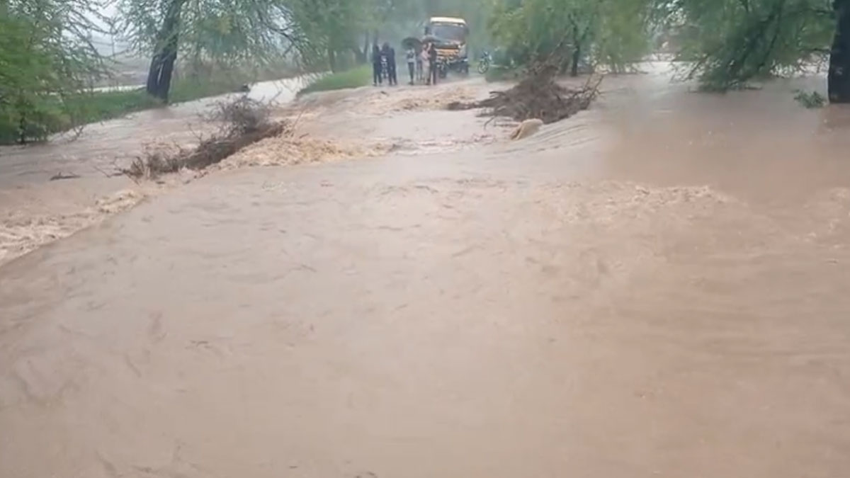 Washim: वाशिम-बुलढाणा में जोरदार बारिश, नदी नालों में आया उफान; दोनों जिलों का संपर्क कटा