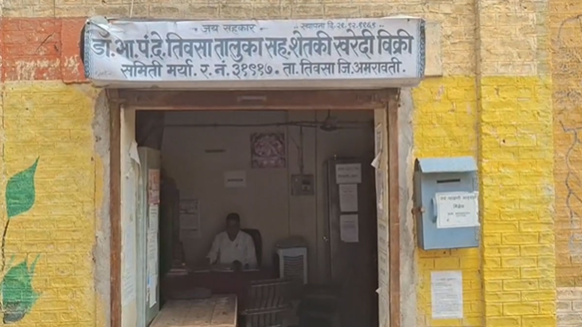 Amravati: ﻿राज्य में नाफेड के तहत ज्वार की खरीद बंद, किसान कर रहे समय और खरीद क्षमता बढ़ाने की मांग