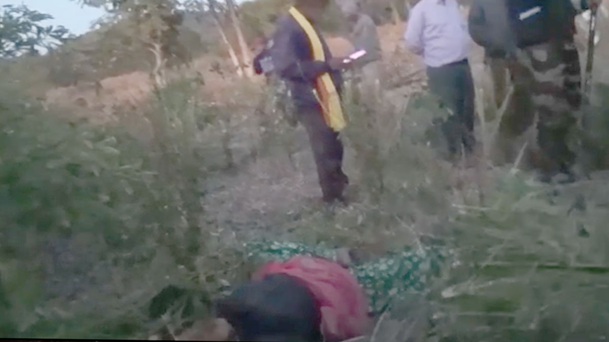 Nagpur: खेत में काम कर रही महिला पर बाघ का हमला, मौके पर मौत; रामटेक तहसील के सिल्लारी की घटना