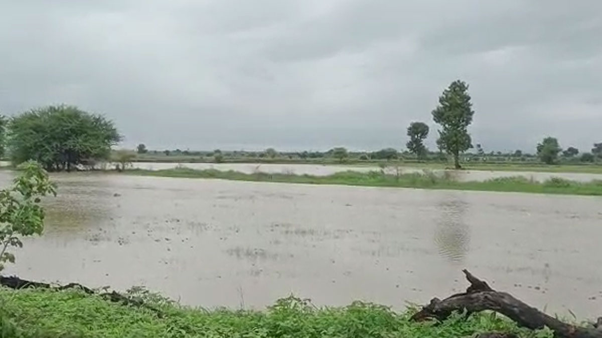 Amravati: जिले के 10 राजस्व मंडलों में अतिवृष्टि, तीन मंडलों में 100 मिमी से अधिक बारिश