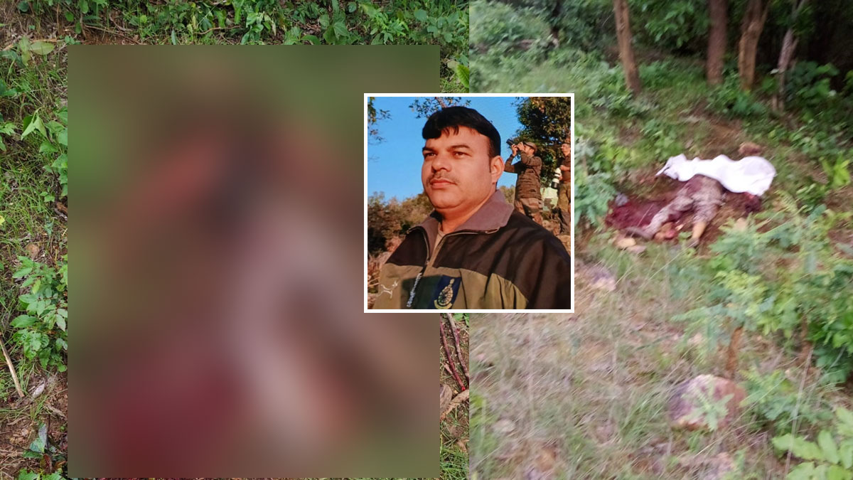 Gondia: कर्तव्य पर तैनात वनपाल पर भालू का हमला, मौके पर ही दर्दनाक मौत; नागझिरा अभयारण्य की घटना