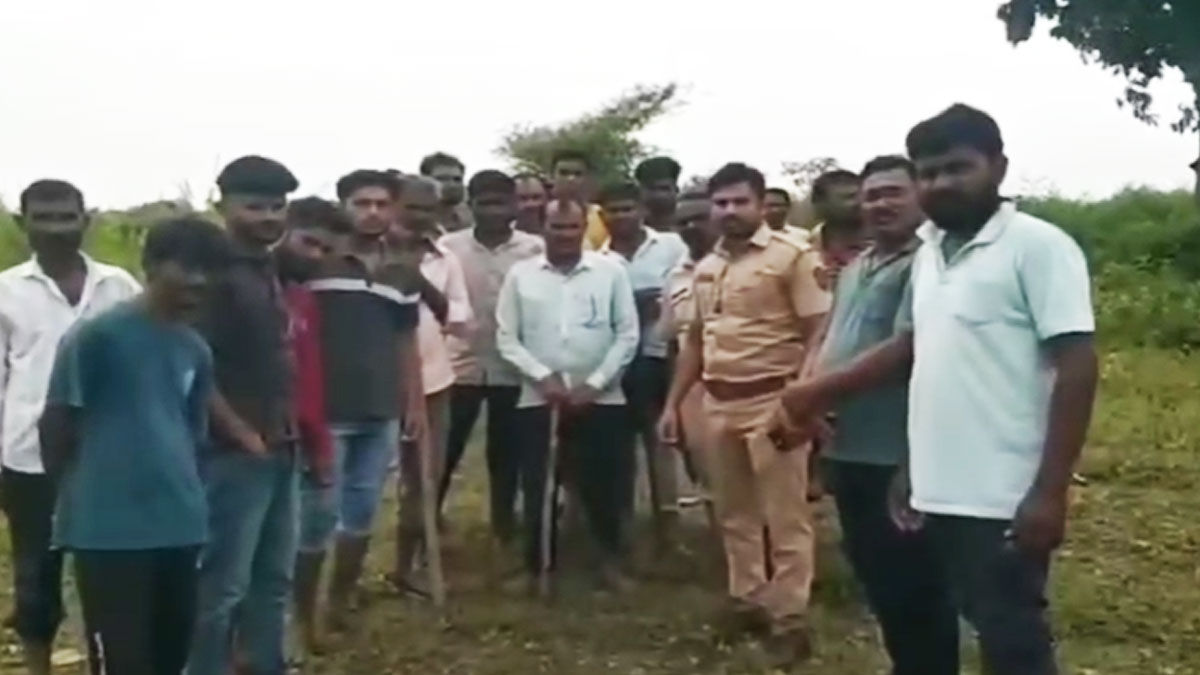 ﻿Yavatmal: मंगी आष्टोना में दिखा धारीदार बाघ, किसानों में दहशत, वन विभाग की टीम कर रही तलाश