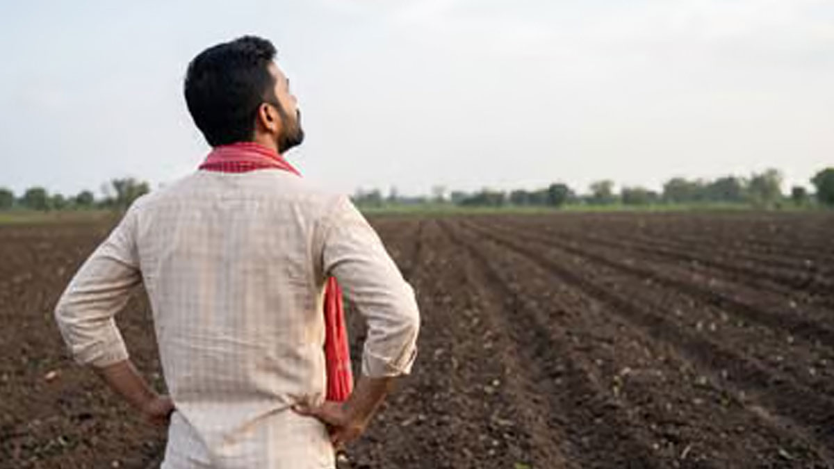 अगस्त महीना रहा सूखा, विदर्भ में 58 प्रतिशत कम बारिश; बारिश की कमी से संतरा, सोयाबीन और कपास पर संकट