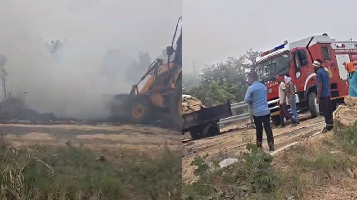 Bhandara: आग से किसान की मेहनत राख, खेत में रखी 221 धान की बोरियां जलकर खाक