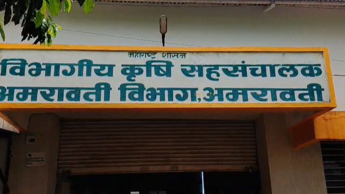 Amravati: ﻿पश्चिमी विदर्भ में नकली सोयाबीन बीज की शिकायतों की बाढ़, पश्चिमी विदर्भ में 2382 शिकायतें
