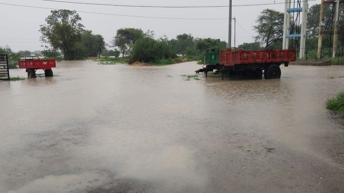 Wardha: ﻿वर्धा में बारिश से जनजीवन प्रभावित; नदियां उफान पर, खोले गए बांध के गेट, स्कूलों में अवकाश घोषित