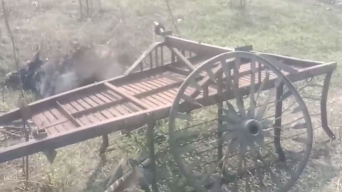 ﻿Yavatmal: चार पहिया वाहन ने बैलगाड़ी को मारी टक्कर, छह लोग घायल, एक बैल की मौत