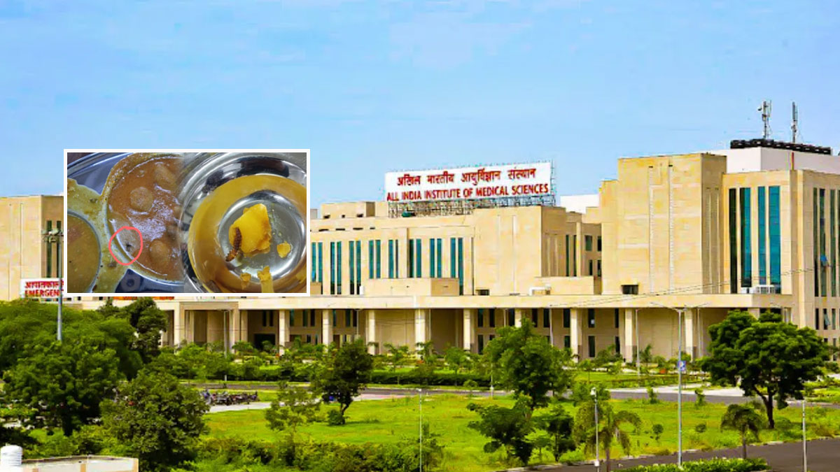 AIIMS नागपुर के मेस में परोसे गए खाने में मिले कीड़े और इल्लियां, छात्रों ने जिम्मेदार लोगों के खिलाफ कार्रवाई की मांग